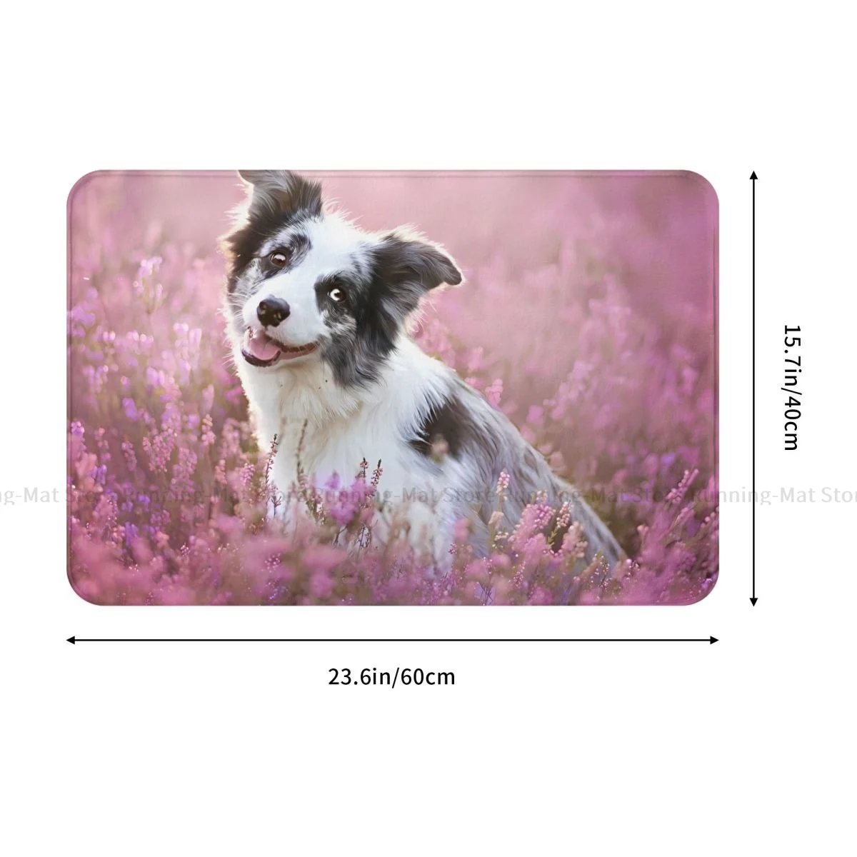 Border Collie Pet Dog Non-slip Doormat Cute Bath Kitchen Mat Welcome Carpet Indoor Modern Decor