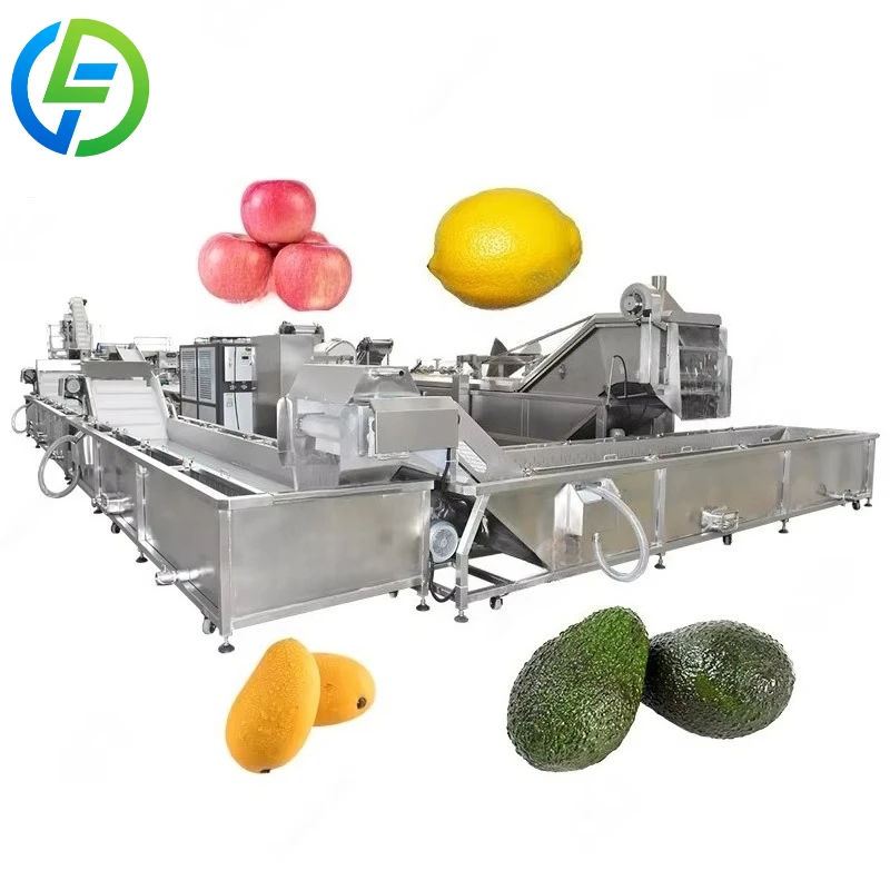 Customized Industrial Avocado Cleaner Fruit Washer Machine for Coffee Cherries Banana Watermelon Cleaning