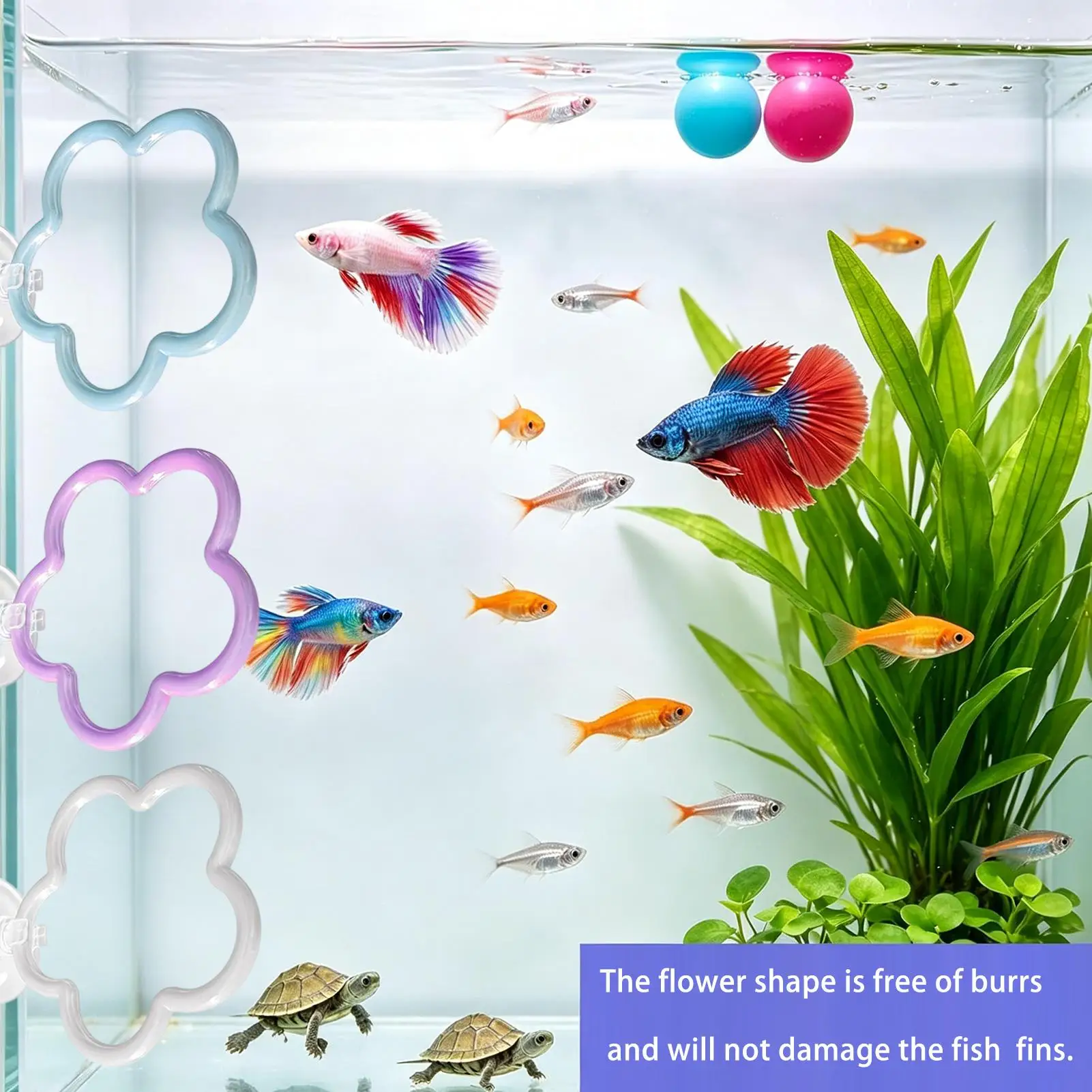 Betta Fish Toys 5 Pieces Colorful Suction Cup Aquarium Accessories Betta Fish Ring For Landscaping Decorating Playing Exploring