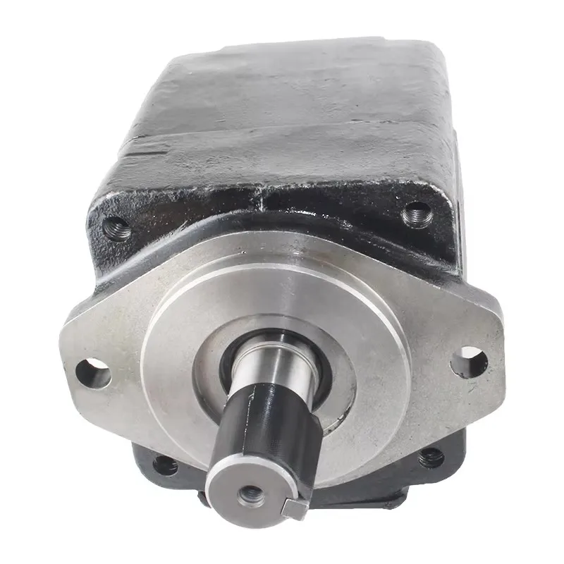 Hydraulic Pump T6 P…