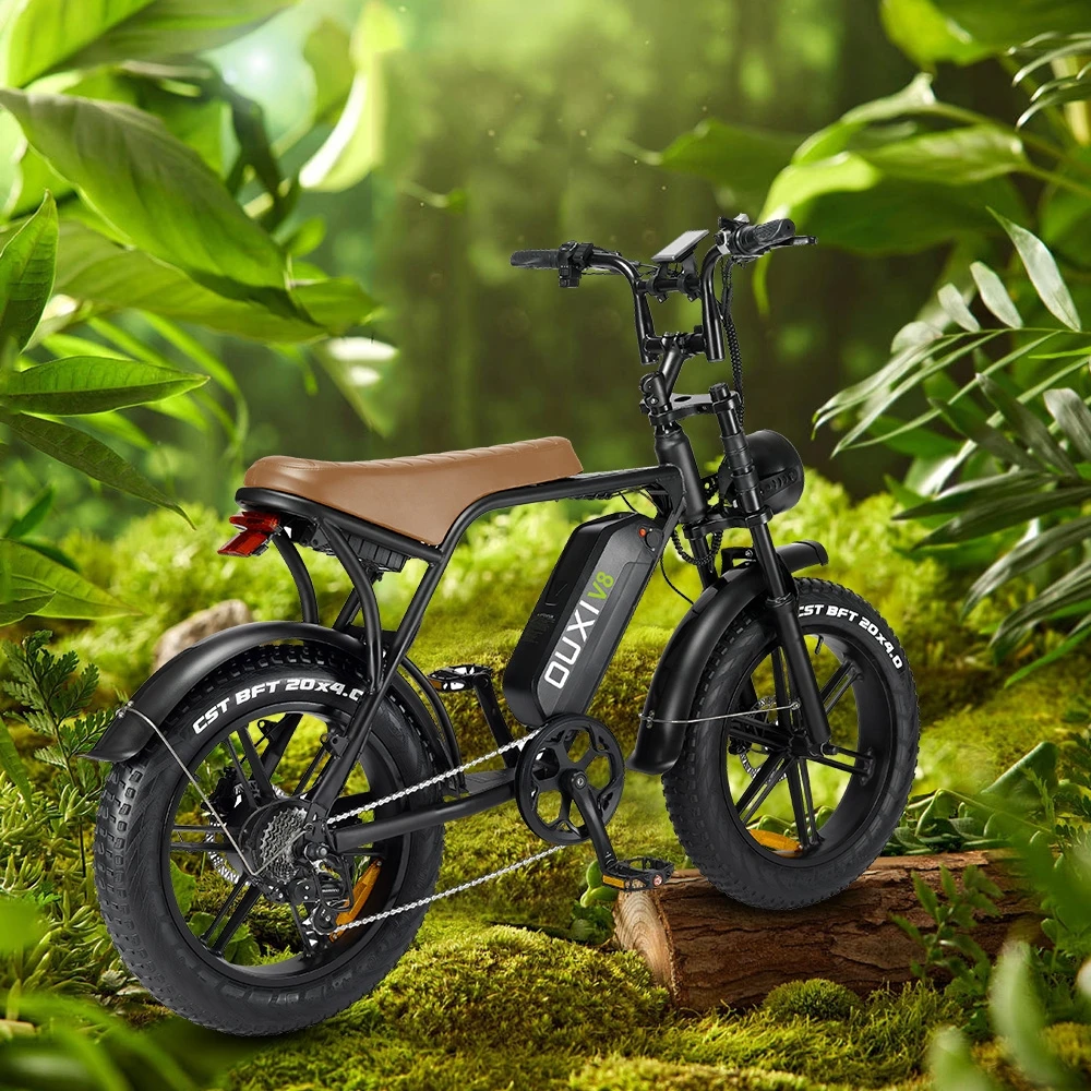 High Performance Electric Bike 48V 100Km Bicicleta Electrica Ebike 250W 750W 1000W Motor E Bike