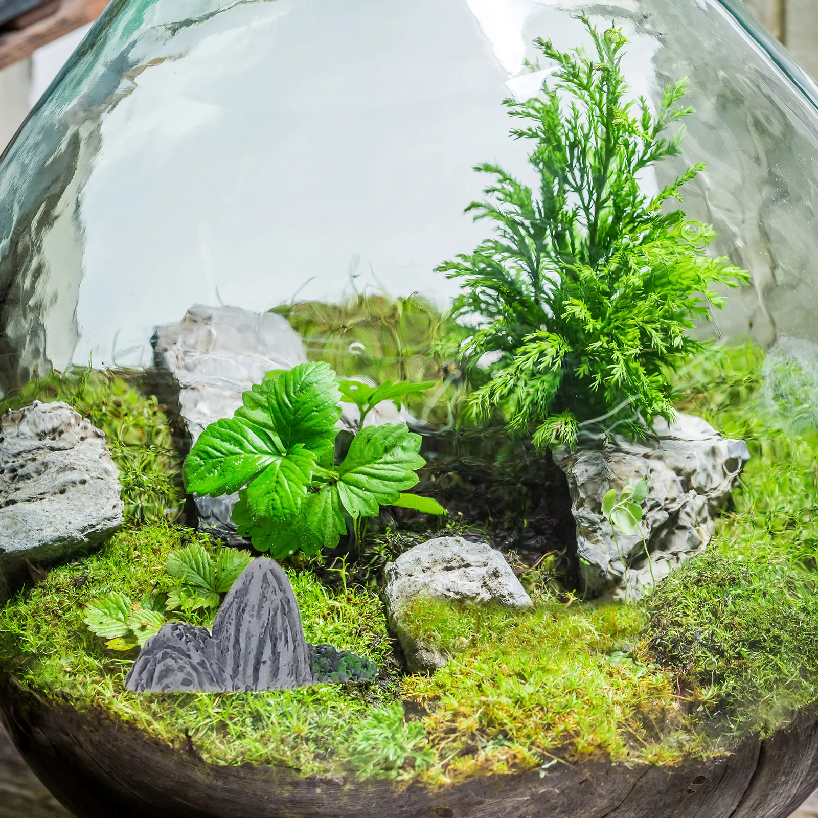

6 Pcs Miniature Rockery Fake Bonsai Accessories Compact Design High Realism DIY Arrangement Sturdy Resin Material Artificial