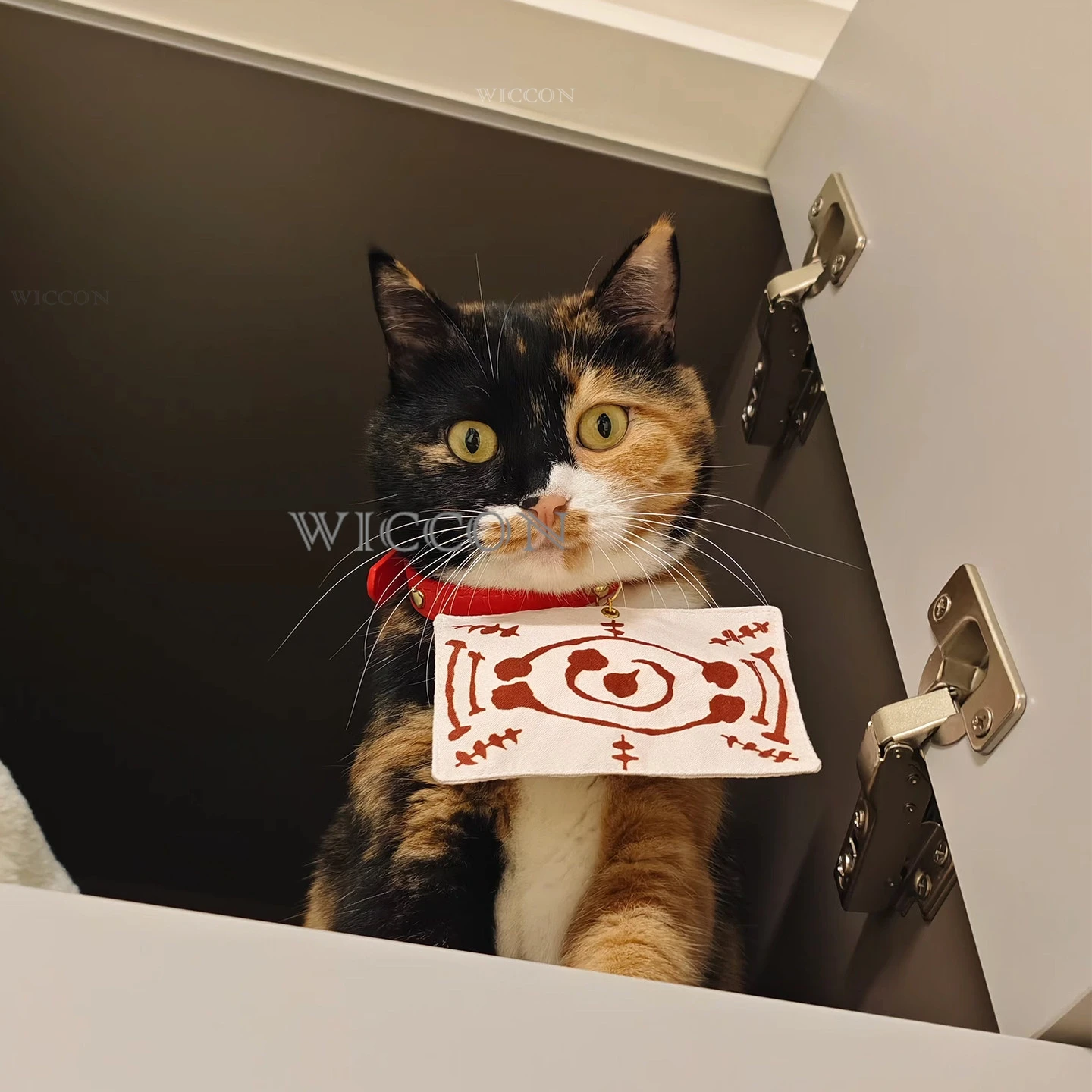 チャチャマル猫タマヨスペットコスプレ装飾かわいい猫コスプレ三 - Cosplay Anime Jjk のレビューと価格