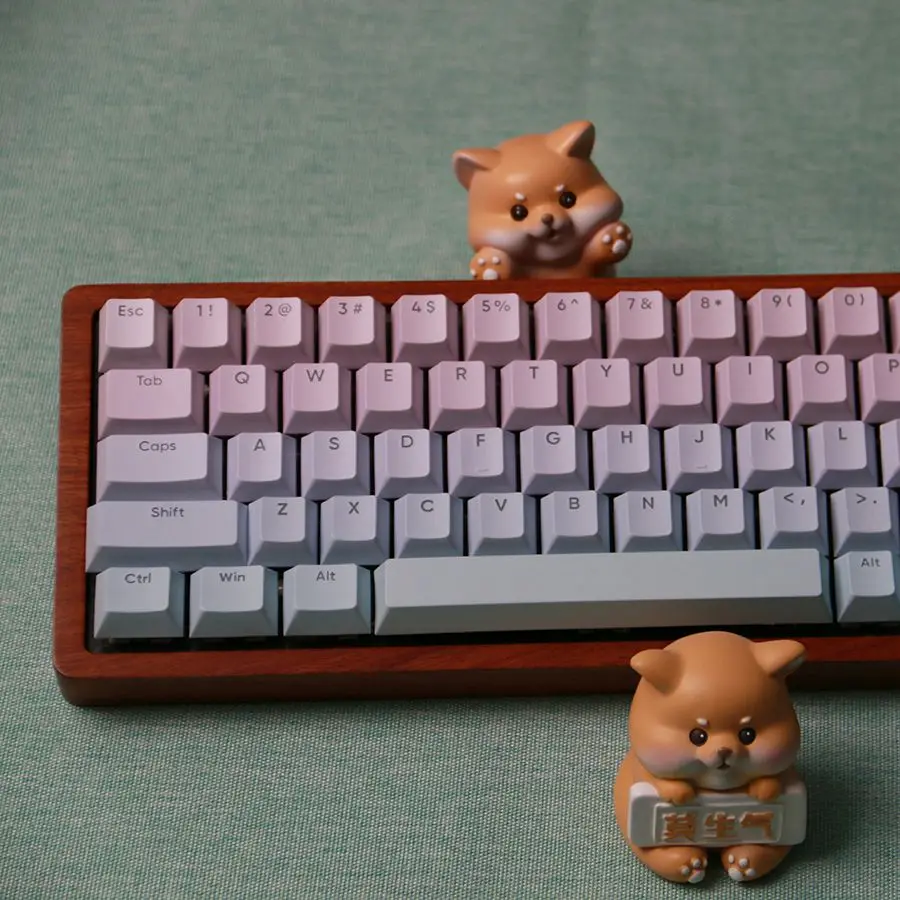 127 klawiszy Gradientowe kolorowe nakładki na klawisze z nadrukiem bocznym Dye Sub Shine Through PBT Keycap Cherry Profile dla klawiatury dla graczy Cherry MX Switch