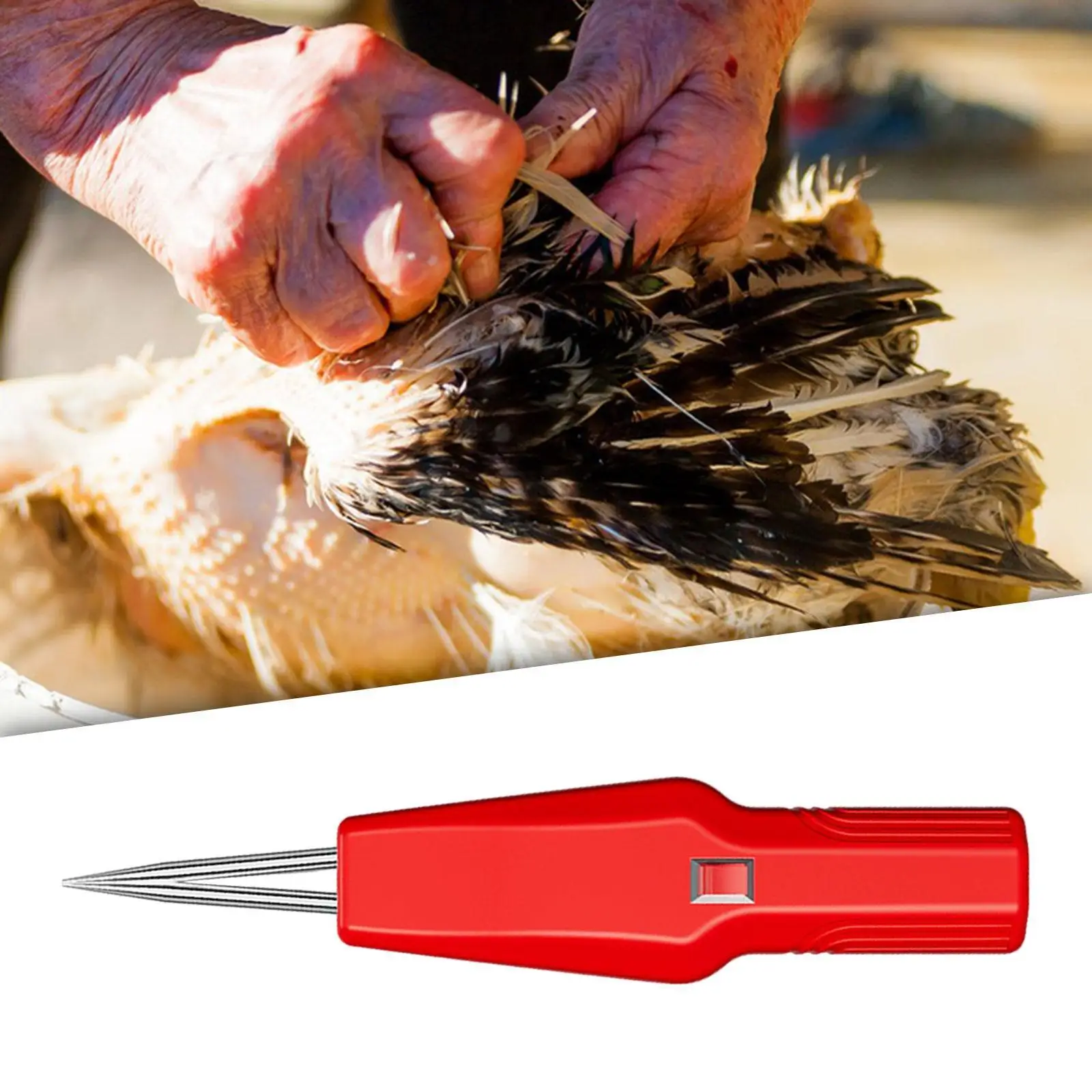 Electric Poultry Plucker Chicken Defeather Machine for Bird Plucking Turkey