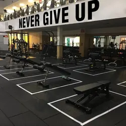 Never Give Up, Motivational Wall Decal Fitness Gym Studio Home Gym Classroom Office Room Decor Decals Removable Wallpaper Z559