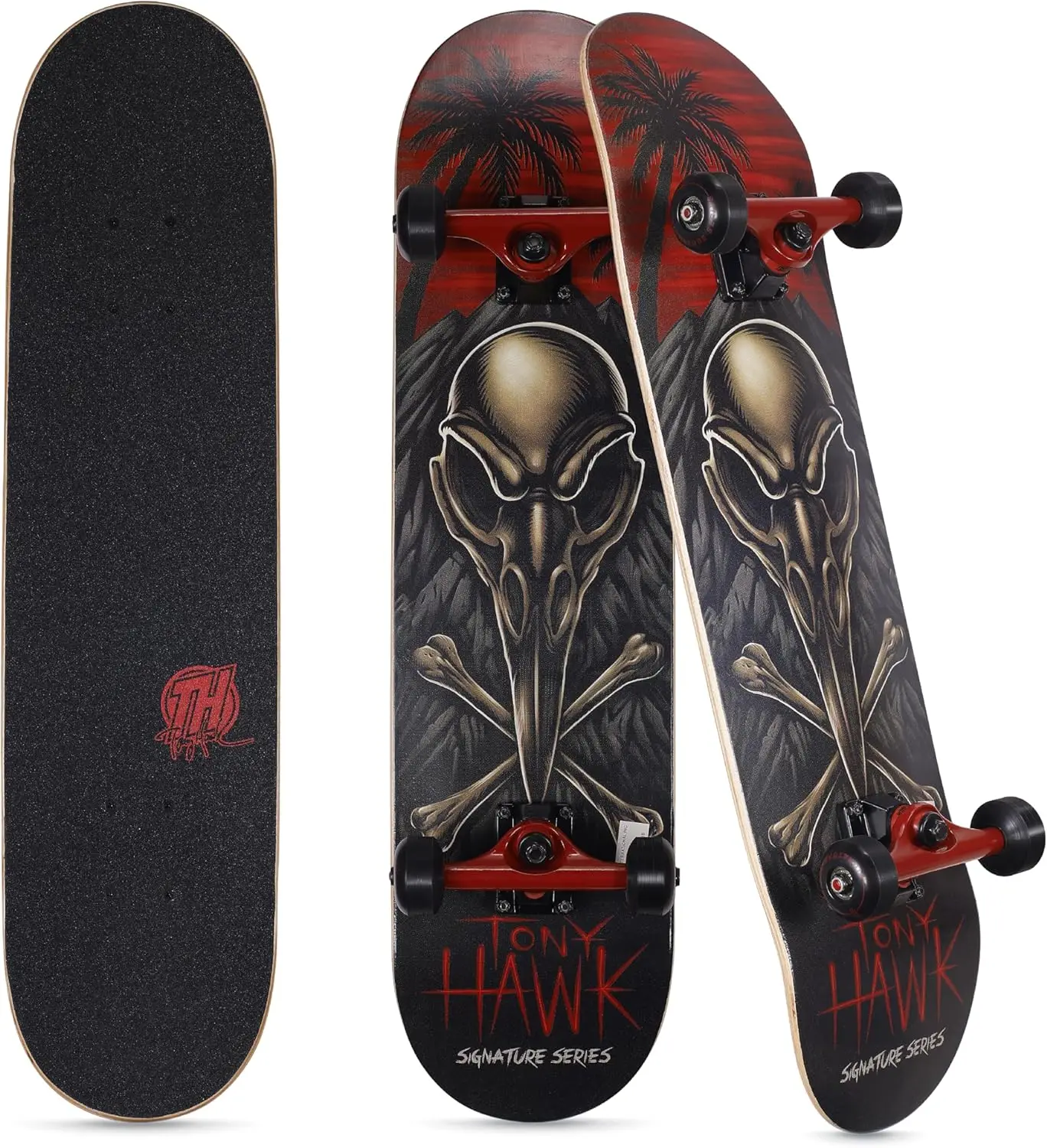 

31-Inch Maple Skateboard for Cruising, Carving, Tricks and Downhill - Durable and Lightweight