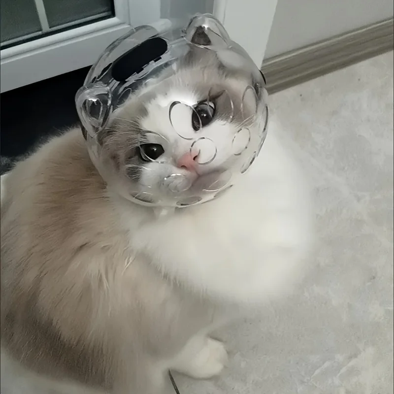 1Pc Space Cat Helmet-Breathable Adjustable Transparent Muzzle for Grooming,Anti-Licking Head Cover,Perfect for Pet Grooming Tool