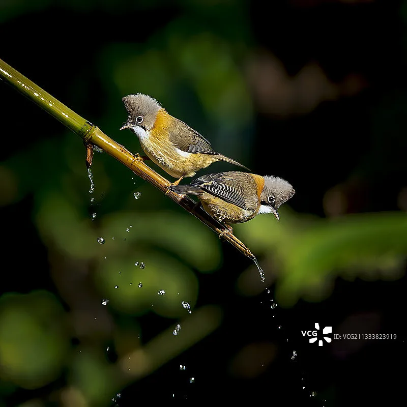 

Бесколлекторный двигатель iFlight XING-E 3314 Cinelifter 900KV 6S для FPV-дронов 8-9-10 дюймов, фристайла, дальних полетов, запчасти для сборки