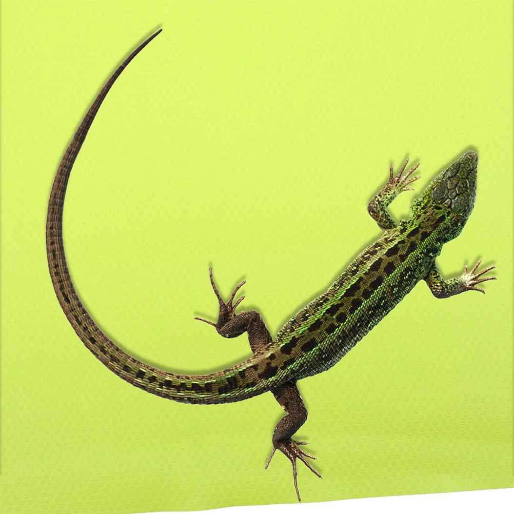 

Crawling Blanket Reptile Flooring Bedding Bearded Terrarium Substrate for Dragon Liners Lizard Carpet Tank Accessories Mat