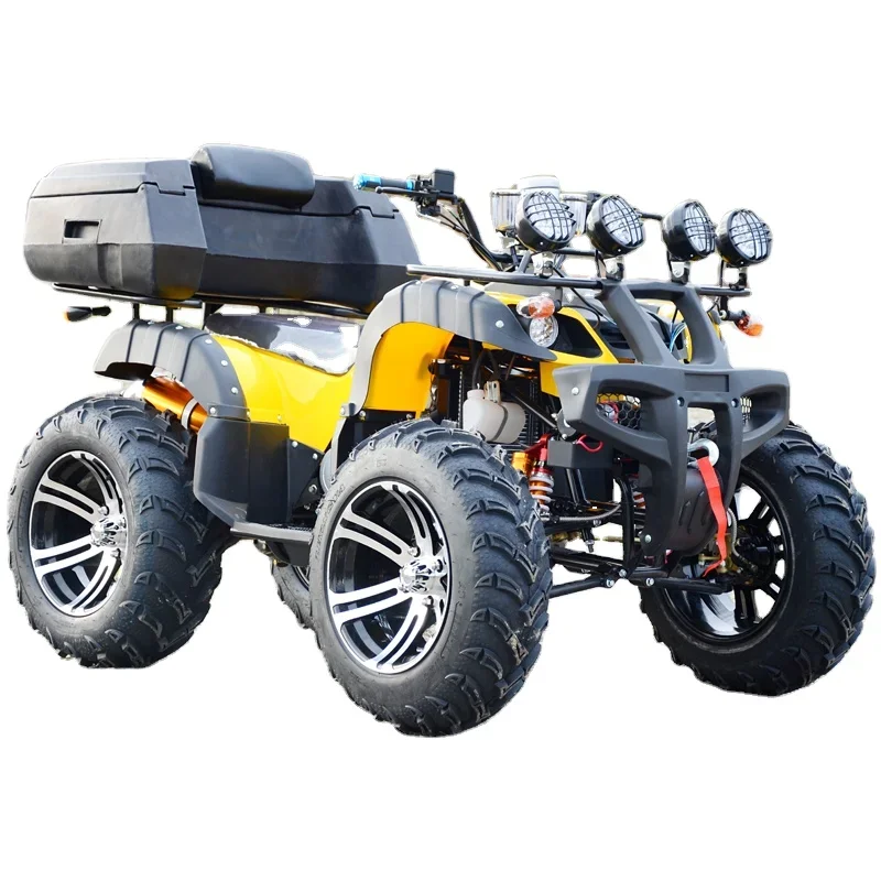 Nowy dziki duch Atv 300cc 4x4