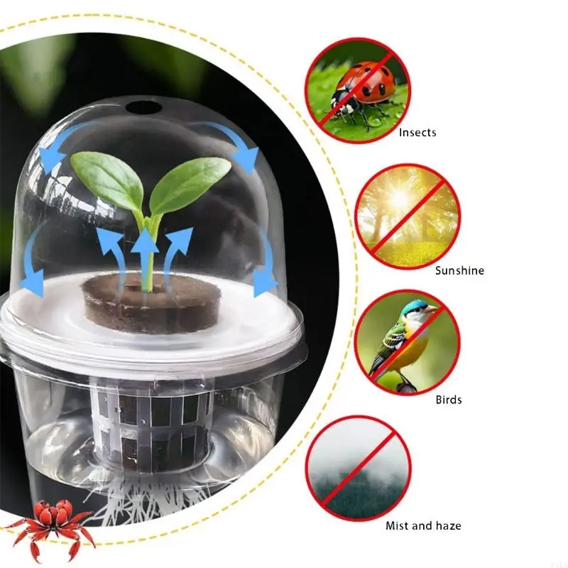   Plant Nursery Seedling Cup with Warmer Cover Humidity Indoor Garden