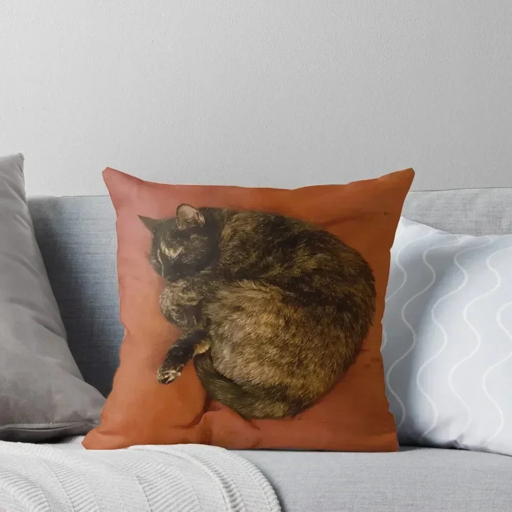 

Sleeping Cat on a Cushion. 3D Throw Throw Pillow anime girl Pillowcases For Pillows bed pillows pillow