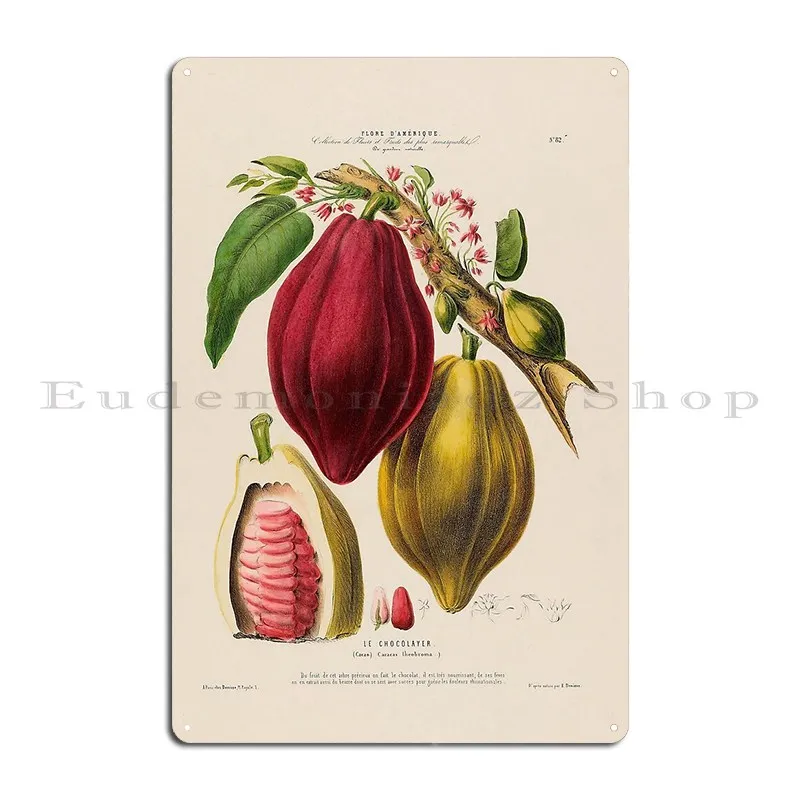 Cocoa Beans Life Cycle Metal Plaque Poster Create Designs Painting Home Plaques Tin Sign Poster