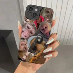 New Creative Monkey Pattern Phone Case For iPhone 17 16 Pro Max 16E 15 14 13 12 11 XS X XR 7 8 Plus 17 Air Shockproof Soft Cover