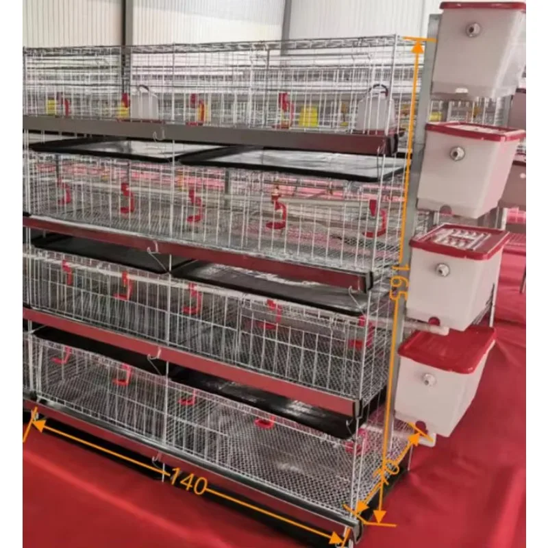 Special cage for early rearing of chicks Isolated cage for 1-day-old chicks with anti-extrusion design