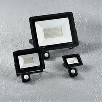 220V LED FloodLight PIR Motion Sensor Led Spotlight 10W 20W 30W 50W 100W IP66 Waterproof Outdoor Garden Lighting Street Light