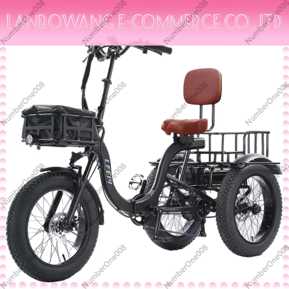 750W 48V Electric Tricycle 3 Wheels Two-Seat Mobility Bike for Elderly Adults Off-Road
