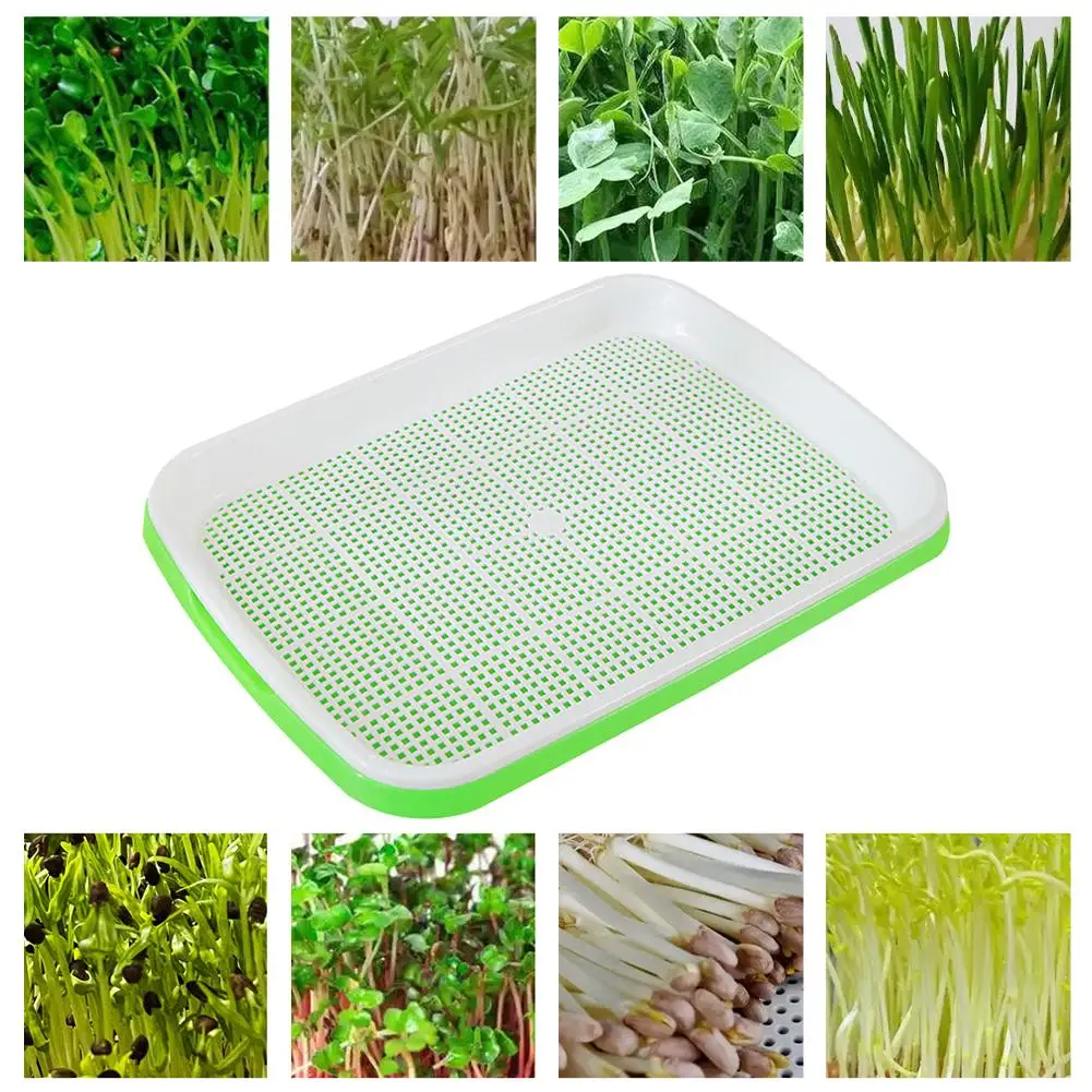Home Seed Germination Tray Sprout Vegetable Seedling Tray Soilless Cultivation Hydroponic Equipment Plant Nursery Pots