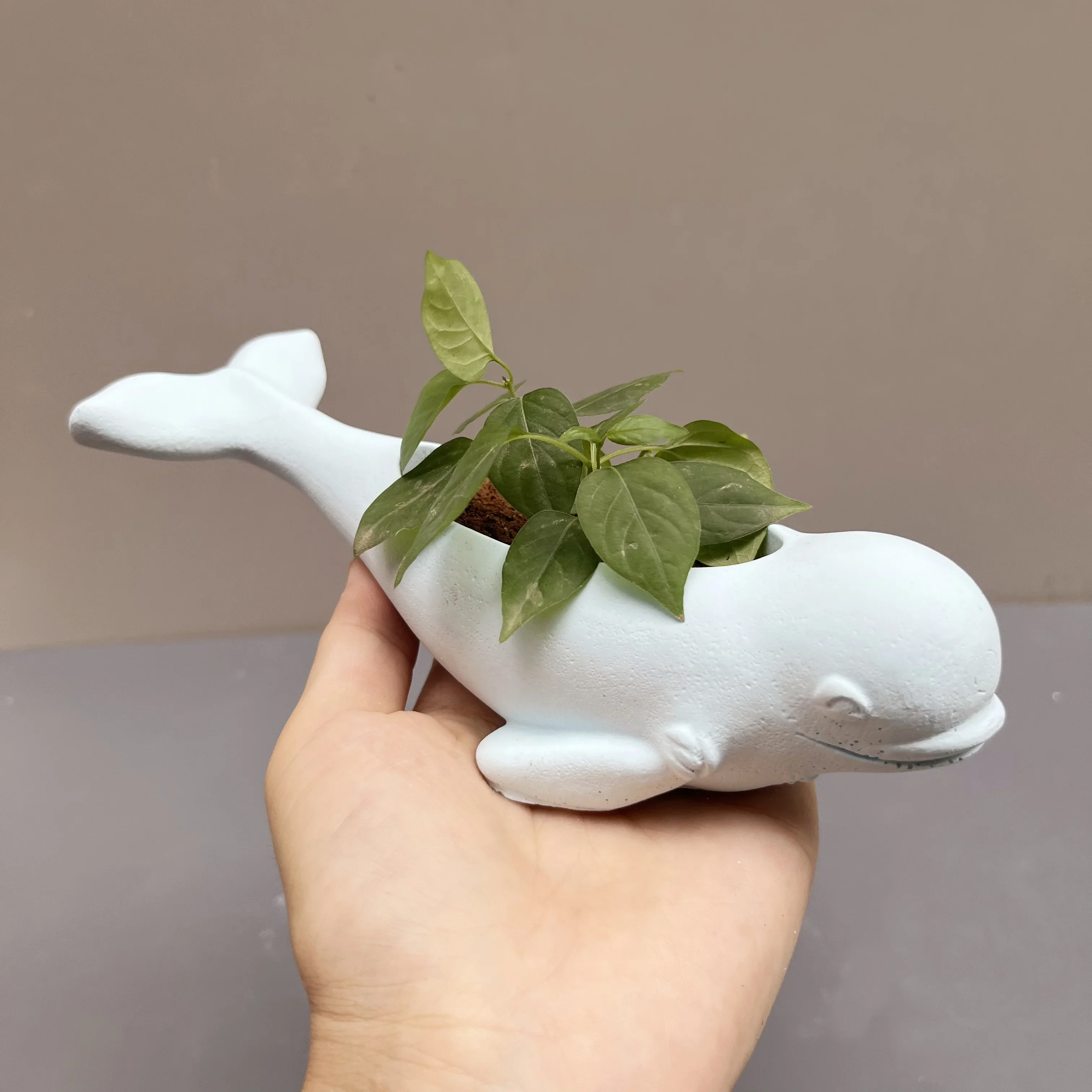 3D Large Cute Marine Animal Dolphin Meaty Plant Flower Pot Resin Silicone Mold Sea Lion Whale Candle Cup Concrete Gypsum Mold