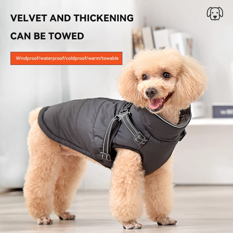 Thumbnail 2 - #34 Cheap Dog Apparel Worth Buying