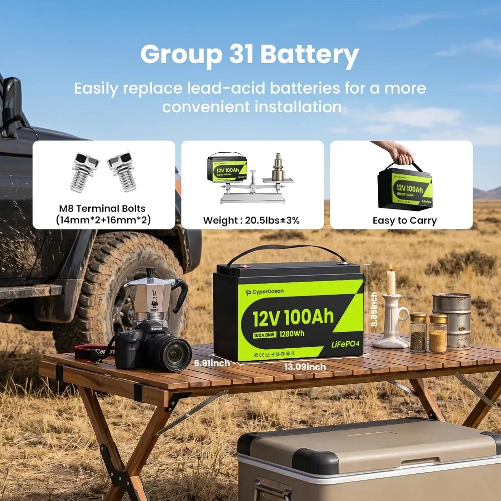 12V 100Ah LiFePO4 Battery, Ultra-Lightweight Deep Cycle Lithium Battery with 100A BMS & Low-Temp Cut-Off, Customized