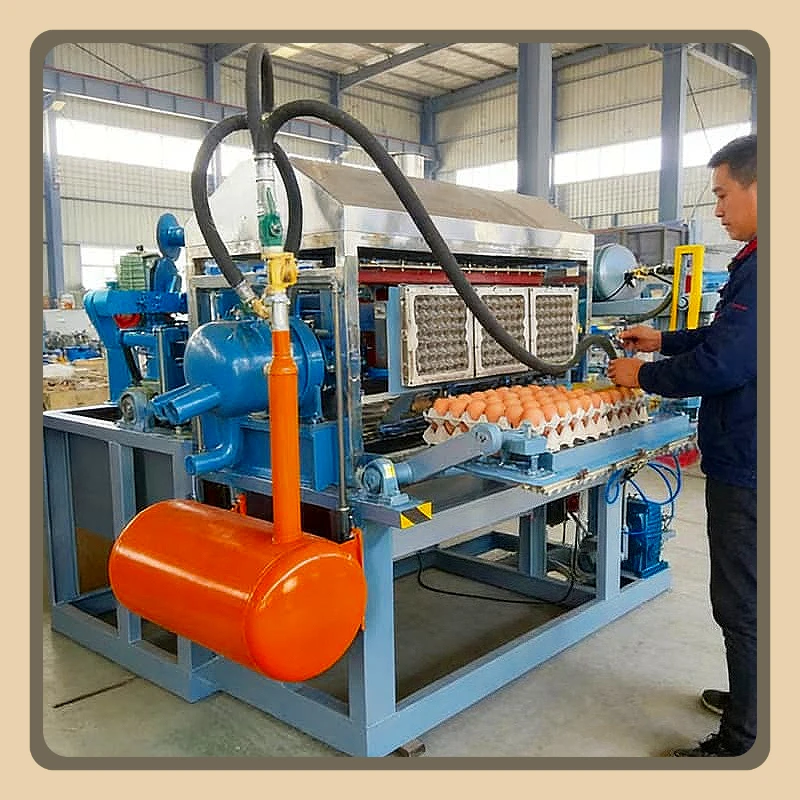Industrial Automatic Pulp Molding Machine Egg Tray Production Line Paper Egg Carton Equipment Waste Paper Recycling Farm Custom