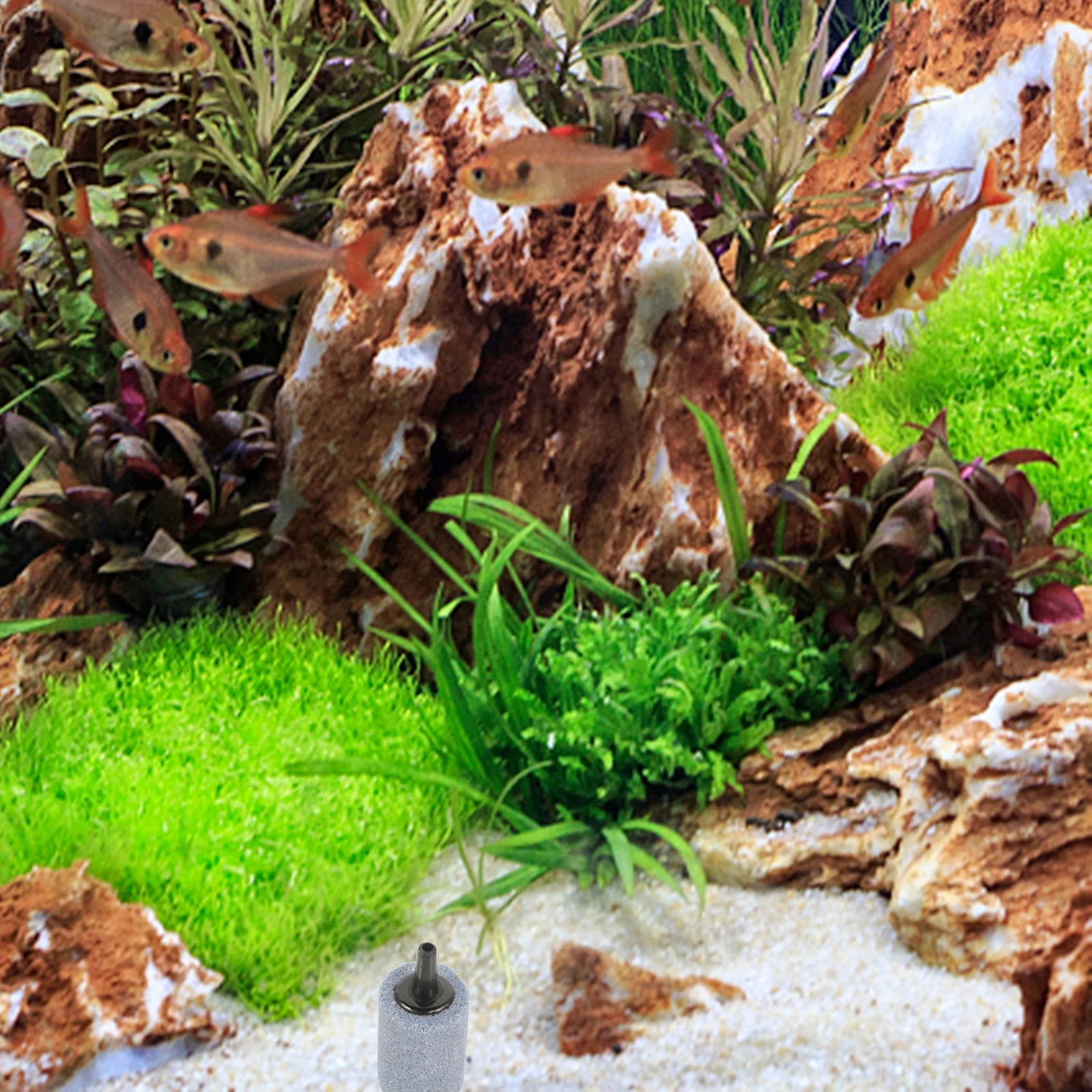 

5Pcs Aquarium Air Stone Fish Tank Bubble Stones Uniform Airflow Aquarium Easy Install Oxygenation for Fish Tanks