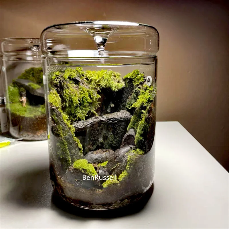 Micro Landscape Glass Bottles Creativity Dew Collection Glass Vase Succulent Moss Bansai Landscape Glass Terrarium Home Decor