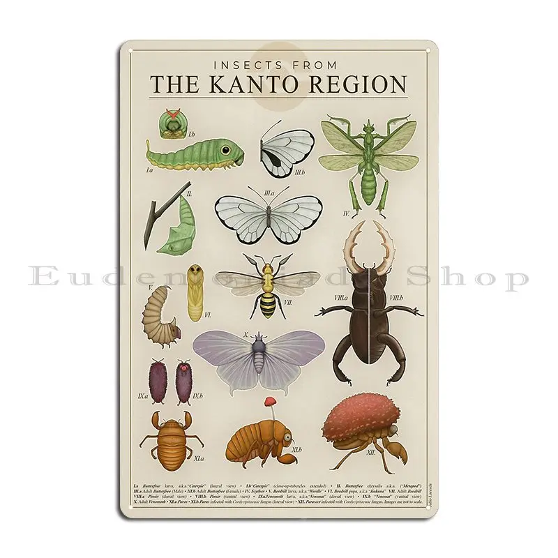 Insects From The Kanto Region Metal Plaque Poster Customized Wall Mural Create Retro Home Tin Sign Poster