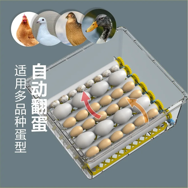 AOLIVIYA Fully Automatic Small Egg Incubator For Home Poultry Quail Hatching Smart Farming Breeder Specialty Tools