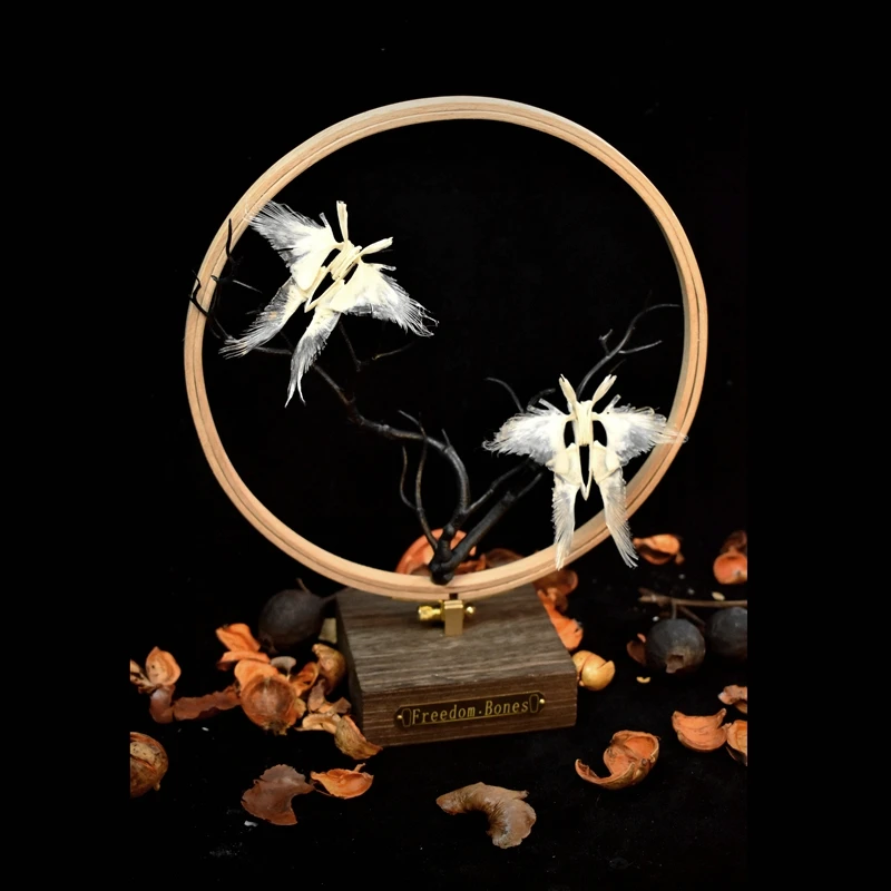 2110 Ethical Butterfly Skeleton Resin Art Sculpture Natural History Display Biological Craft 3D Wall Decor Unique Collector Gift