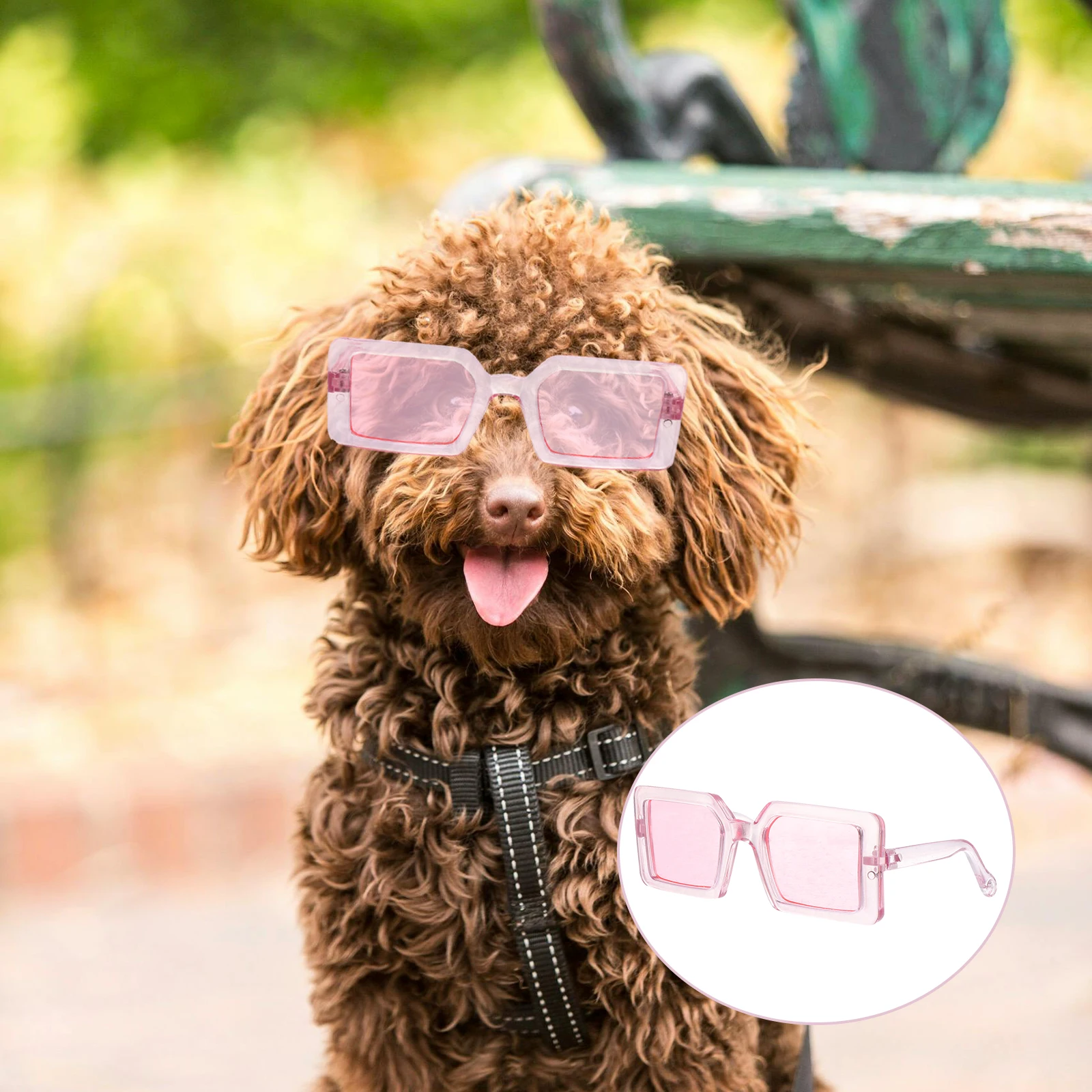 

Dog Transparent Glasses Small Dogs Pp Puppy Sunglasses Cool Design Fashionable Party Photo Props Square Lenses Dog Accessories