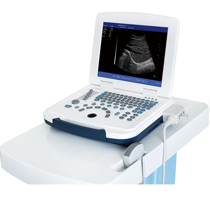 Portable ultrasound vet machines msk ultrasound machine obstetric for ob equine ultrasound machine