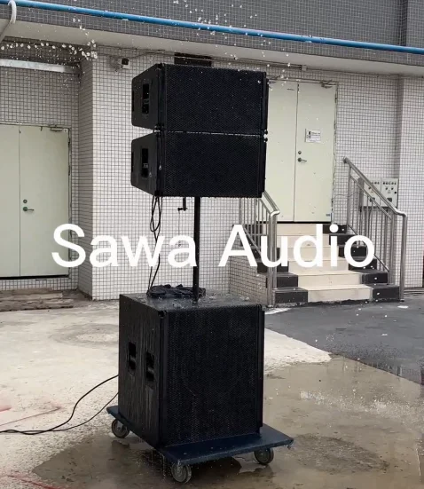 ST5 مكبر صوت نيوديميوم فردي مقاس 12 بوصة، مكبرات صوت بخط نشط في اتجاهين، نظام صوت احترافي