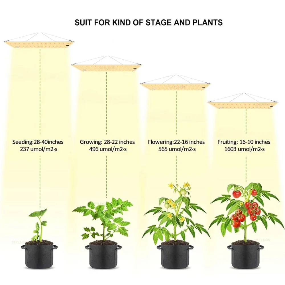 BEYLSION Caja de cultivo 2 en 1, Mylar DE ALTO reflectante con múltiples cámaras y bandeja de suelo para cultivo de plantas hidropónicas de interior