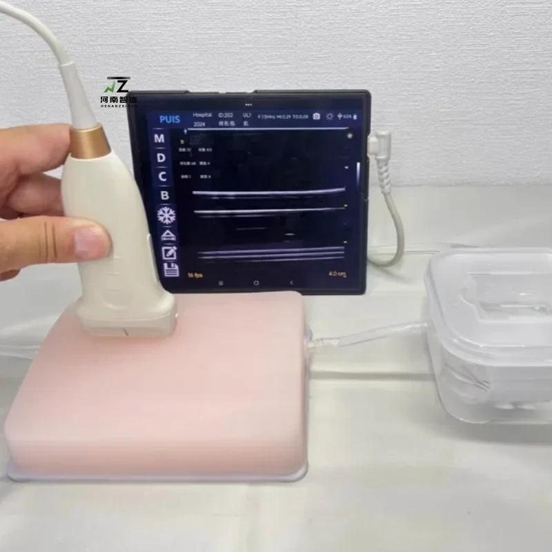 PICC Training Puncture Module Ultrasound Guided Vascular Puncture Model Circulation Pump B-ultrasound Intervention Training