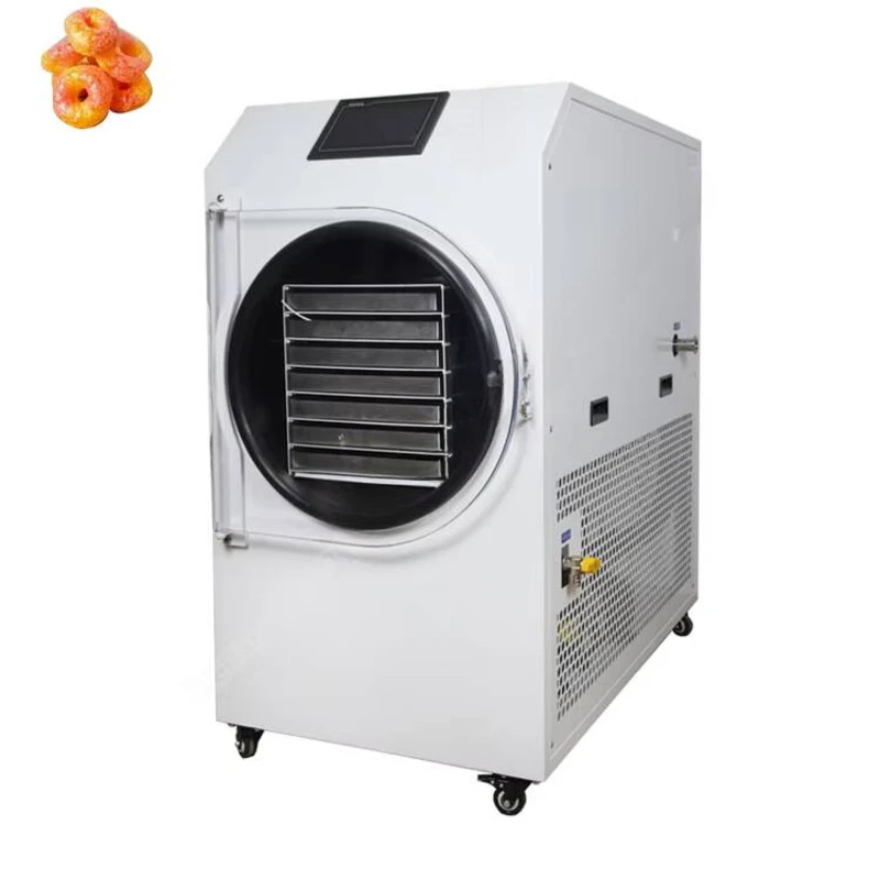 2-3 kg Hfd-1 Liofilizzatore per caffè Multi collettore Liofilizzatore sottovuoto Liofilizzatore da laboratorio Controllo interruttore indipendente