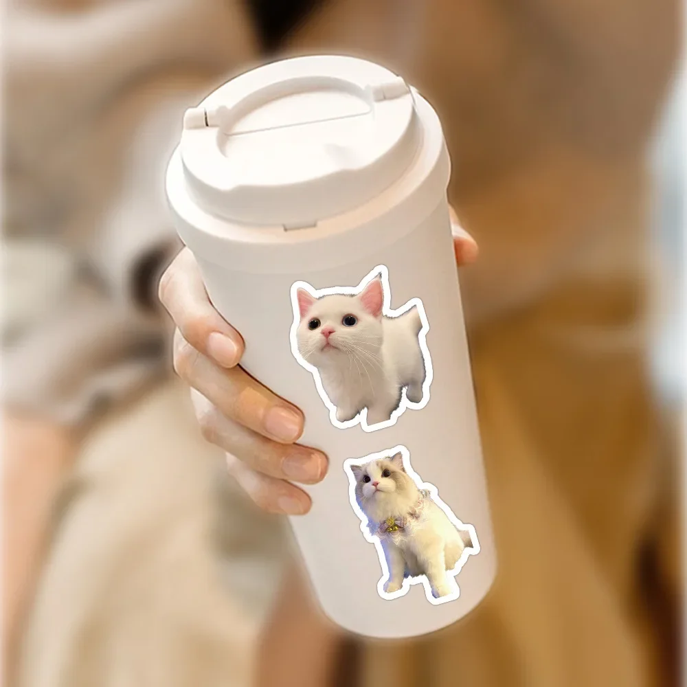 10/30/60Pcs Cartoon Cat Waterproof Graffiti Sticker Aesthetic Decorative Luggage Cup Guitar Laptop Phone Notebook Kids Stickers