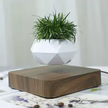 Levitating Bonsai Pot #6