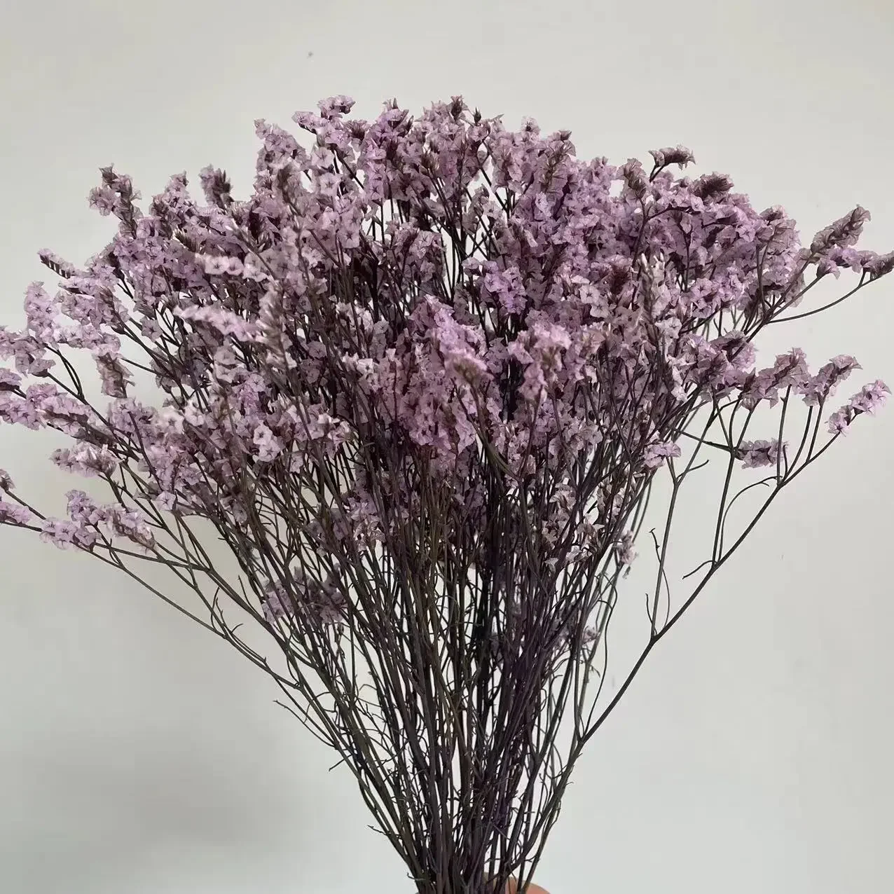 35~42CM/60g Crystal Grass Natural Fresh Dried Preserved Forget me Flowers,Real Forever Lover Grass Branch For Home Decor