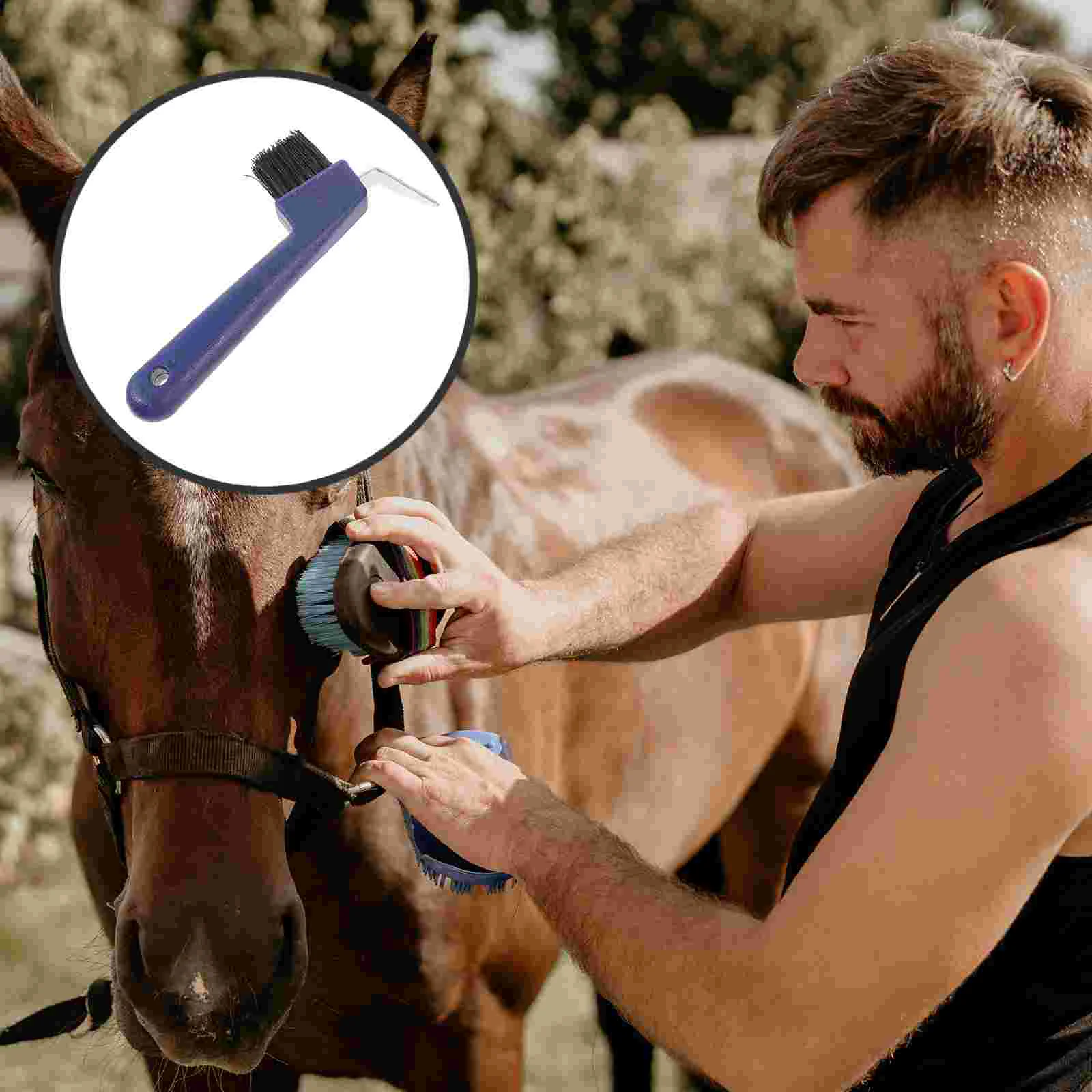 Horse Hoof Care Tools Pick Brush Cleaning Modify Handle Iron Hair with Bits Western