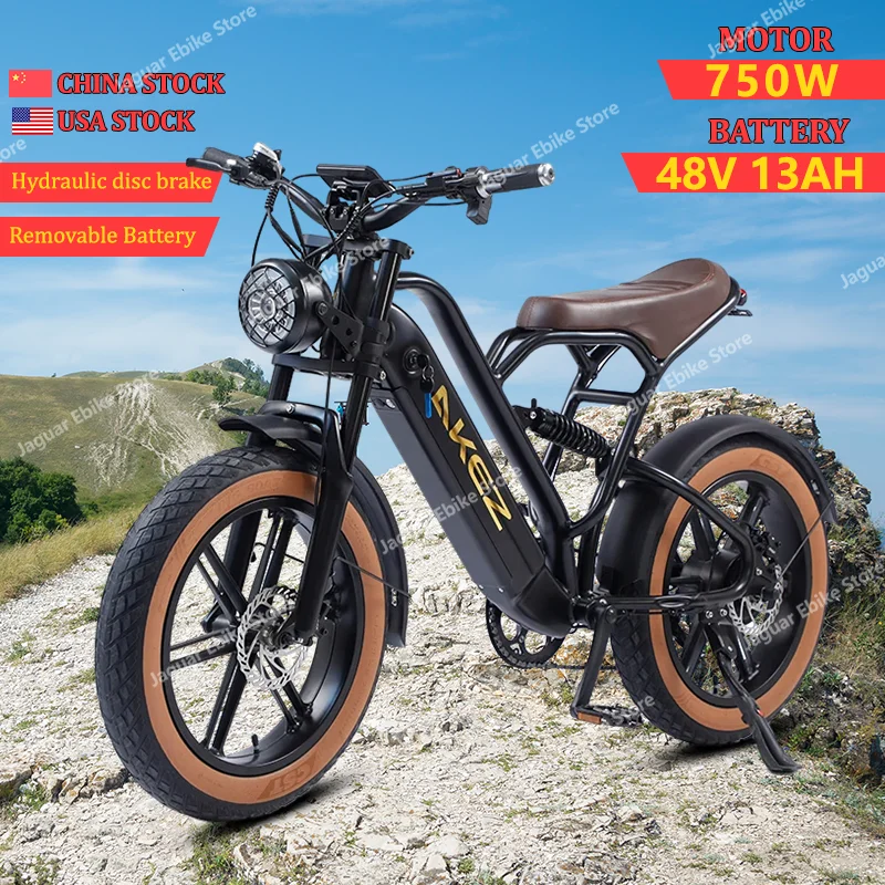 

New Full Suspension Electric Bicycle 750W 48V13AH Removable Battery Ebike 20*4.0Inch Fat Tire Off-road Mountain Electric Bicycle