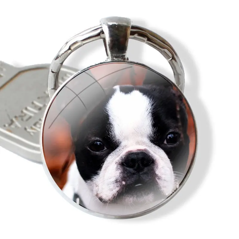 Keychain Handmade Glass Cabochon Key Ring Holder Pendant Key Chains Boston Terrier dog Cartoon Design Creative Fashion