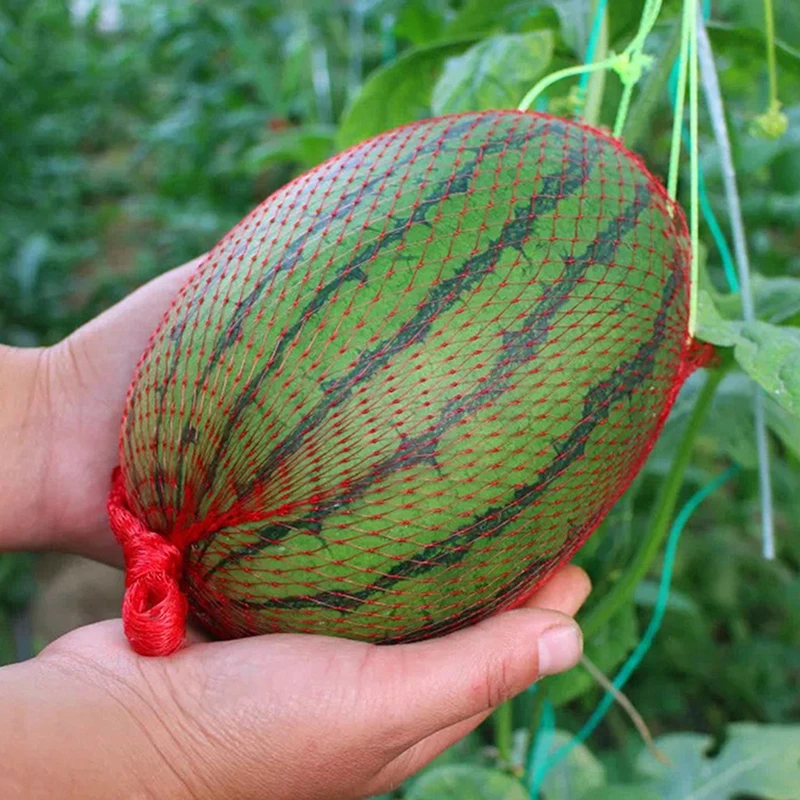 100pcs Garden Cucumbers Growing Storage Mesh Net Vegetable Bags Hanging Watermelon Grow Net Bags Reusable Cantaloupes Mesh Net
