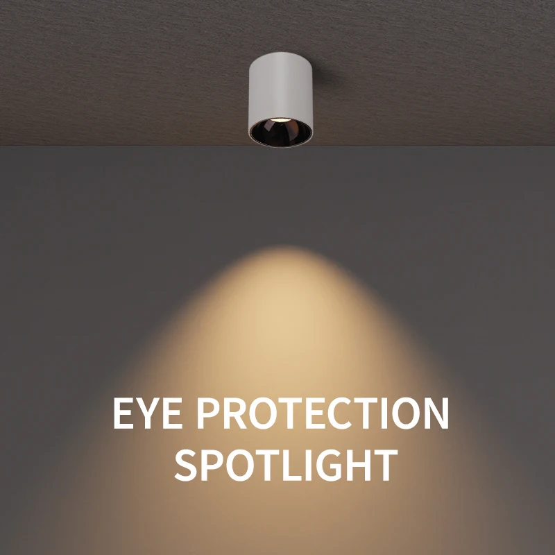 Aisilan IP64 Waterproof Surface Mounted Ceiling Downlight Anti-glare Spotlight Suitable for Living Room Bedroom Hallway