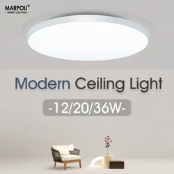 Cold LED Ceiling Lamp Dustproof Moistureproof Mosquito 6500K 12W 20W 36W 46W 220V Luster Indoor Home Decoration Bedroom Bathroom