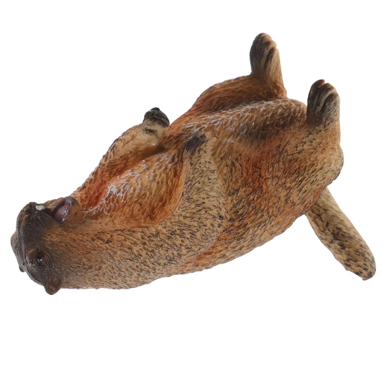 Realistic Standing Groundhog Animal Sculpture Educational Kids Learning Tool Sturdy PVC Construction Lifelike Wildlife Figure