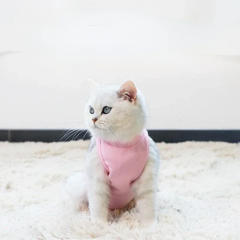 Pet Breathable Recovery Cloth Cat Dog Medicine Prevent Lick After Surgery Wear Four-legged Weaning Recovery Suit