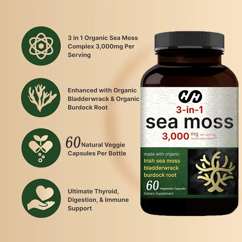 Irish Seaweed 60 Vegetarian Capsules Made From Organic Raw Powder, Combined with Bladder and Burdock Roots, Promote Immunity